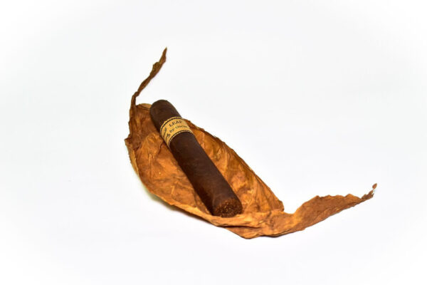 LEAF BY OSCAR - Image 6